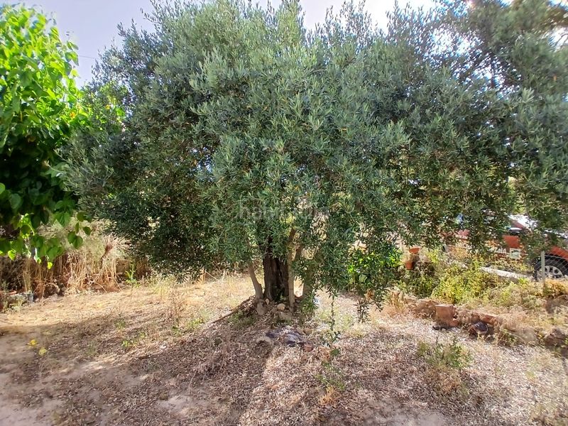 Foto 5a0db151-eb40-403a-9bdb-8790d5eb5776. Finca rústica a Horta de Sant Joan