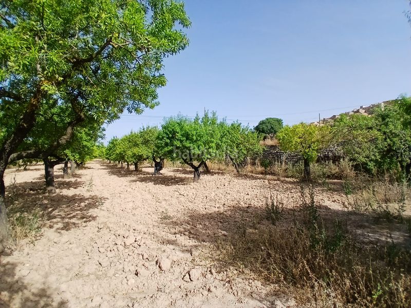 Foto a922379a-fdc7-4697-8ba8-06ca43786911. Finca rústica a Horta de Sant Joan