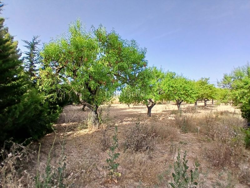 Foto f46dbc6f-c323-4d32-9d4a-be13611d4ebb. Finca rústica a Horta de Sant Joan