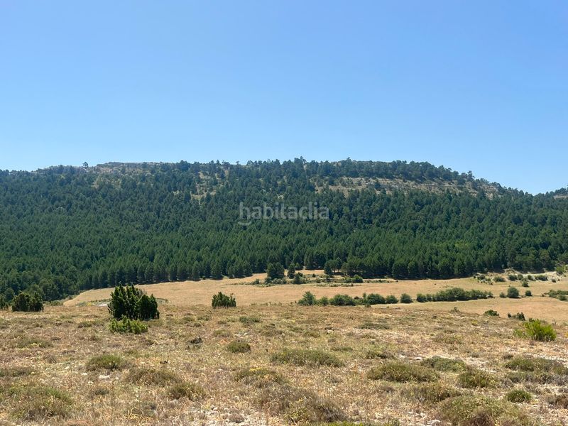 Foto acaa4855-6274-4b6d-9a63-08349225b386. Finca rústica a Peñarroya de Tastavins