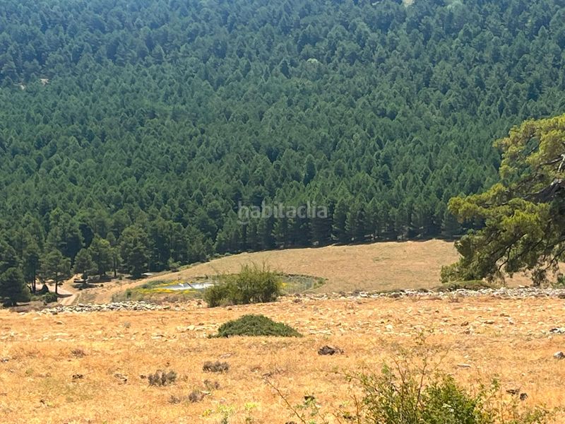 Foto cd3910f7-302e-4068-b580-5e56f64c21cf. Finca rústica a Peñarroya de Tastavins