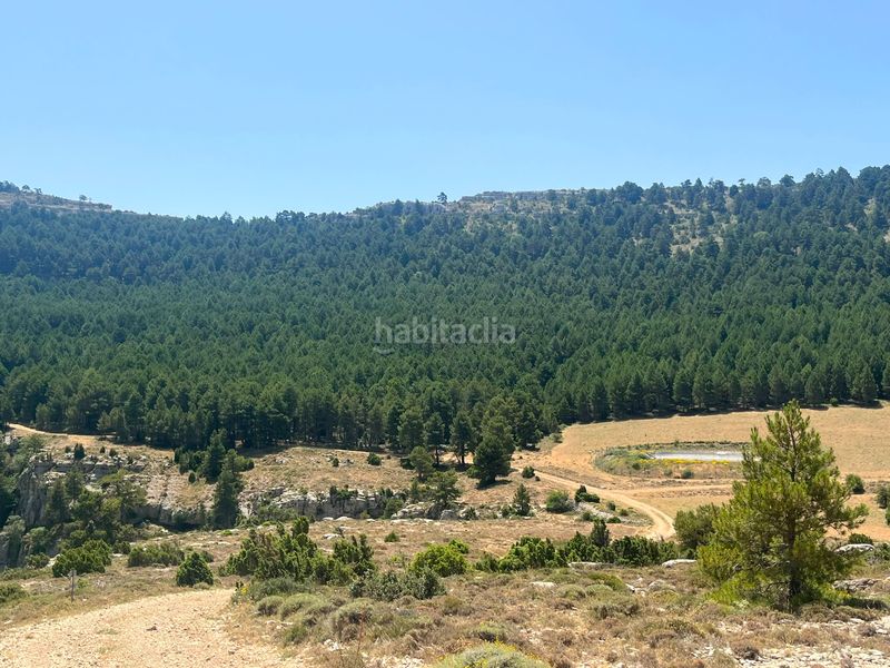 Foto e744afa2-2ee1-4342-a504-99fd05903b54. Finca rústica a Peñarroya de Tastavins