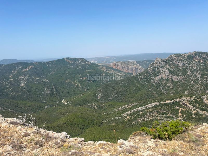 Foto ea59cfb4-f791-4dd3-a619-937ee43fd03e. Finca rústica a Peñarroya de Tastavins