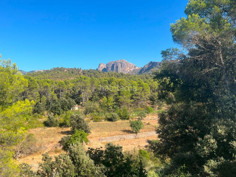 Foto 56806bbb-448a-41cf-9730-cc505d7a0c47. Finca rústica a Arnes