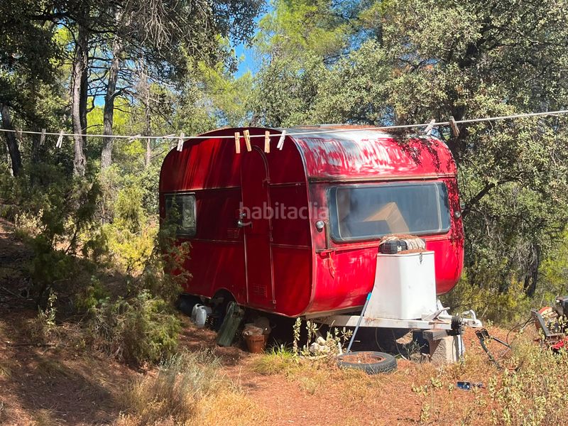 Foto e16aee77-4511-4e41-9984-e7c36b7bdd5a. Finca rústica a Ráfales