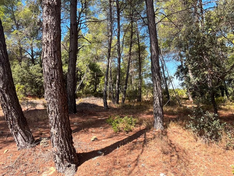 Foto e96dcb04-dca1-4d82-955e-27f476569c17. Finca rústica a Ráfales