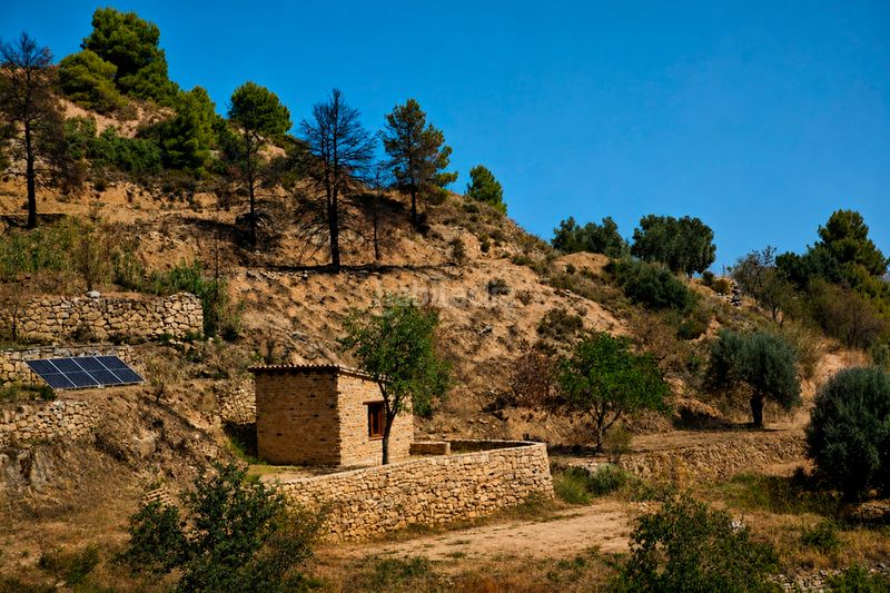 Foto 41ffa3c8-35b7-4bbd-9193-21f0ed20ddd6. Finca rústica a Valderrobres