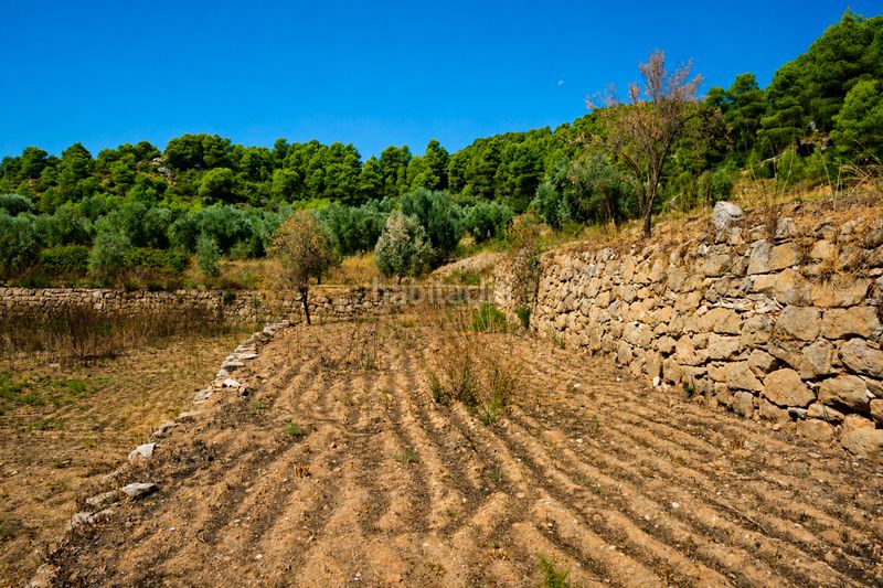 Foto cb402412-26c2-499c-8c17-c4555cb66364. Finca rústica a Valderrobres