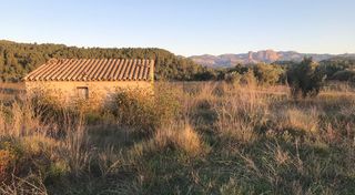 Rural plot in Lledó. Finca rústica con maset en lledó
