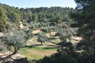 Masia a Fresneda (La)