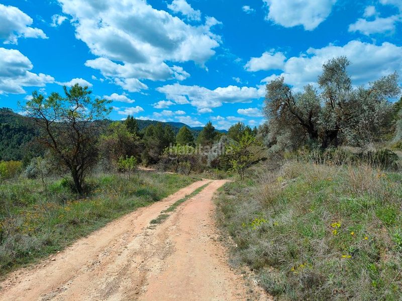 Foto cec109da-1dee-45d0-a545-46433443e4ca. Country house in Portellada (La)