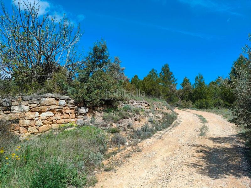 Foto f26f1898-6cfc-4bab-b6e3-fbfcb0dc6d2d. Masia a Portellada (La)