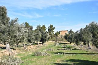 Masia a Mazaleón