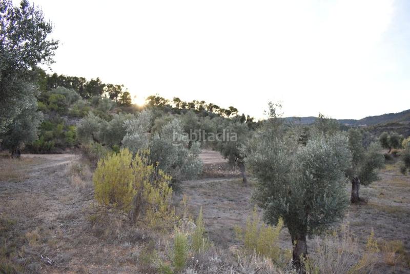 Foto f92bcce1-c1eb-4518-a24a-e9fcbd40d0c4. Bauernhof in Valderrobres