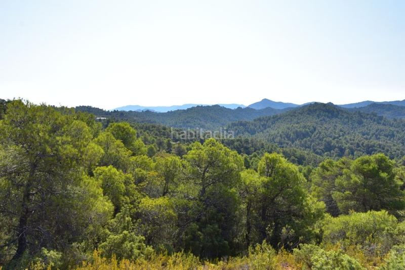 Foto 4d73d565-f263-4c59-8bb3-81d0b690b2a5. Mas dans a-231 43 dans Valderrobres