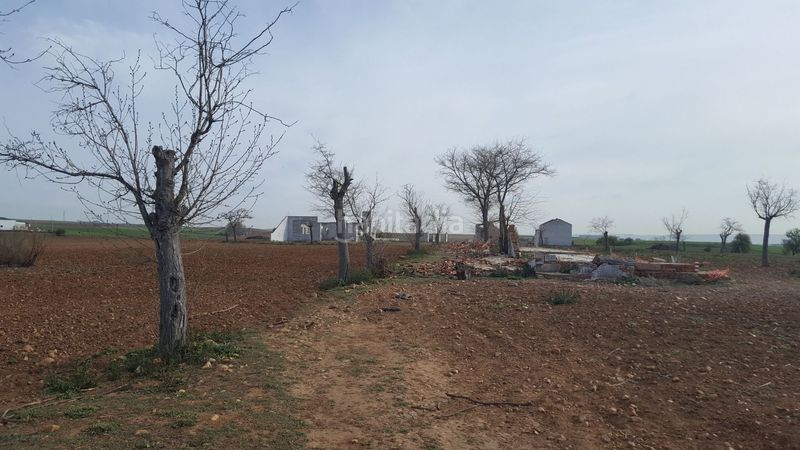 Foto f47a5685-83fe-48e9-bd7a-23036cd2e872. Finca rústica en La Garena Alcalá de Henares