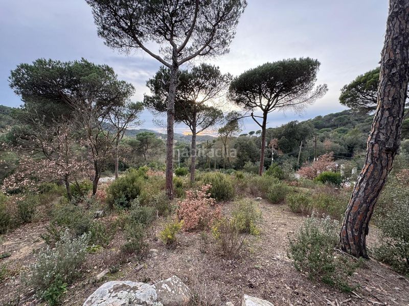 Foto 9af3ba59-99b2-49d5-ba5f-2cccb2fe2967. Terreno residencial solar edificable de 2.600mt en vilanova del vallés en Vilanova del Vallès