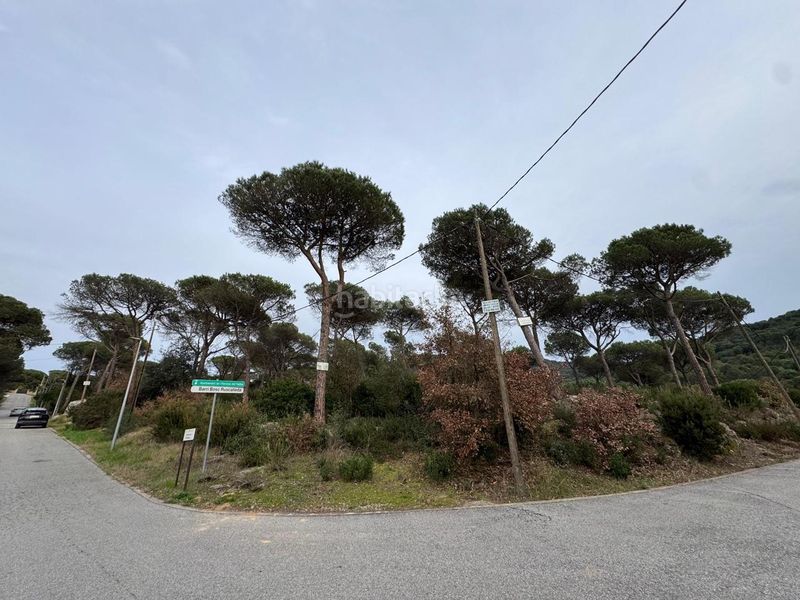 Foto a7526acc-a29a-42b1-9972-1ad341cd9a79. Terreno residencial solar edificable de 2.600mt en vilanova del vallés en Vilanova del Vallès