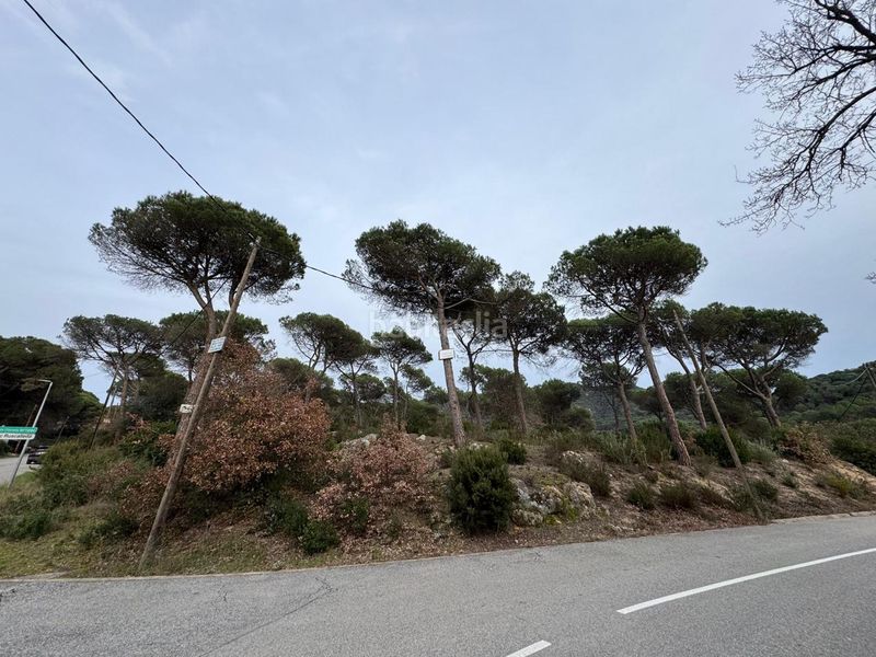 Foto d5dbb7cb-aed6-4f1a-8059-ba9b8e9d0702. Terreno residencial solar edificable de 2.600mt en vilanova del vallés en Vilanova del Vallès