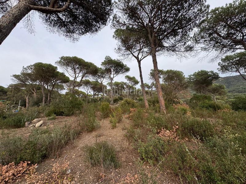 Foto f73026ba-37ee-455e-b891-e5d8ae2fb88e. Terreno residencial solar edificable de 2.600mt en vilanova del vallés en Vilanova del Vallès