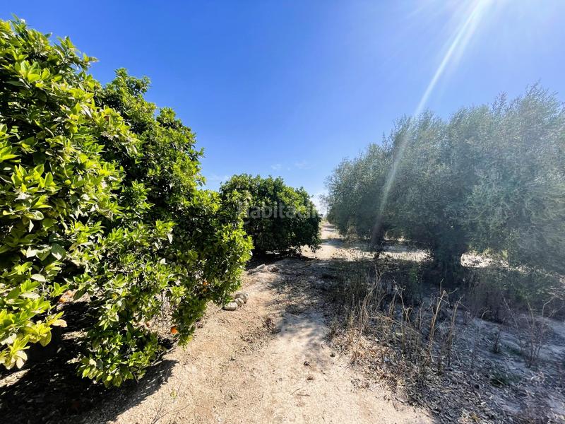 Foto b332dca2-30b6-404e-ab49-f9c27951e464. Casa con parcheggio in La Foia - Daimés - Asprella Elche / Elx