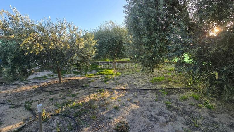 Foto bcb61fc3-e441-4e4a-85df-3d62b7f64b84. Casa con piscina in Jubalcoi Elche / Elx