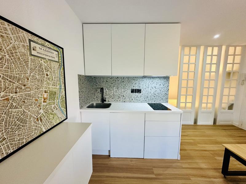 Foto 2d9f8566-9c32-423f-a9a4-b3f3ca57ee46. Estudi a La Marina Elche / Elx