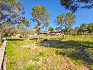 Terrain rsidentiel dans Estany salat 3. Solar urbano en urbanizacin bonmont  terres noves 3