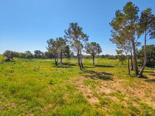 Terrain rsidentiel dans Estany salat 5. Solar urbano en club de golf bonmont 5
