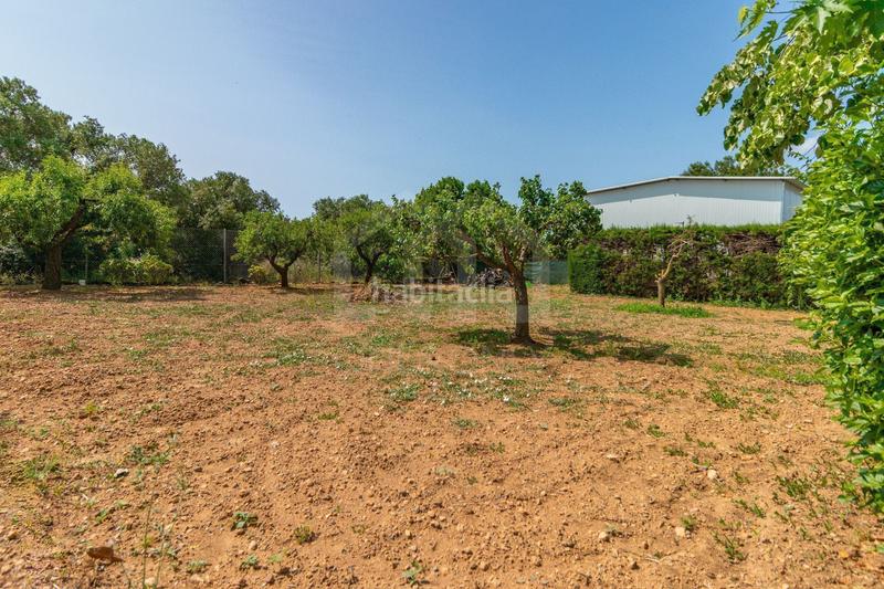 Foto c23ac16a-961c-48c2-846a-48a689de184c. Haus in Riudoms reus 11 in Riudoms