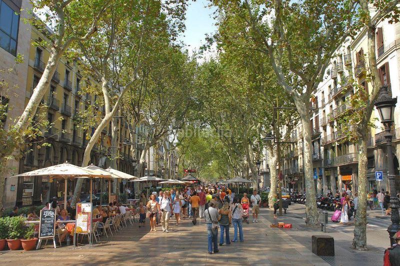 Foto 393abdfa-5eb1-430c-a6a9-e3f3a6102046. Local comercial a Gòtic Barcelona