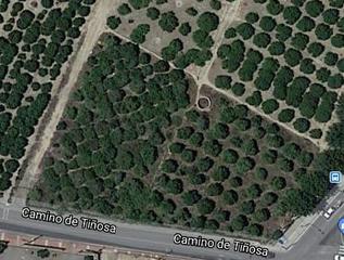 Terreno residencial en San José de la Vega. Solar urbano cruce muebles marisol