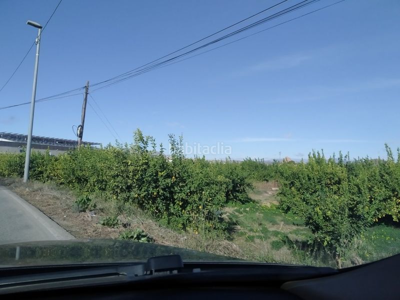 Foto 0581e690-e701-4773-84fb-cf06693b0552. Finca rústica a Llano de Brujas Murcia