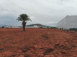 Residential Plot in Fortuna. Solar industrial paraje el reloj