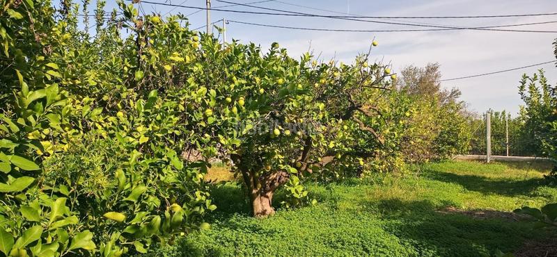 Foto 3f60590d-043e-4ffa-8d5b-7f8ab2f8c4a3. Wohngrundstück in Guadalupe Murcia