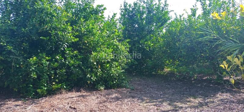 Foto 4340b955-e04b-4ff0-9df1-50214573b2df. Wohngrundstück in Guadalupe Murcia