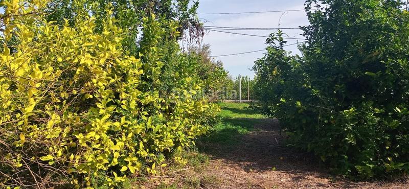 Foto 79ea786c-624b-4719-8e37-bf5359f72349. Wohngrundstück in Guadalupe Murcia