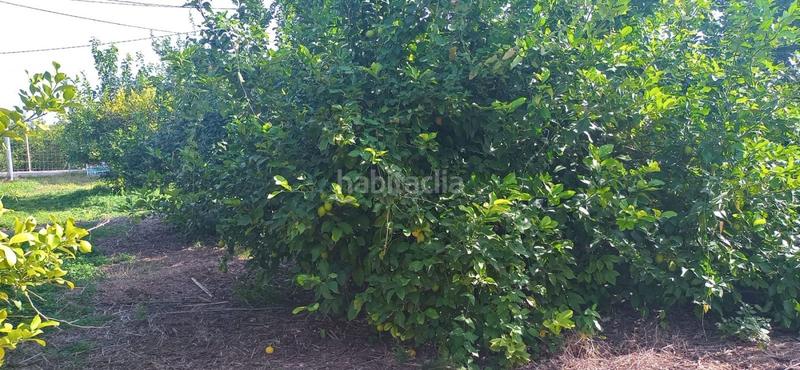 Foto d3c7a8f8-97d2-4805-ad7d-34a706b1f132. Wohngrundstück in Guadalupe Murcia