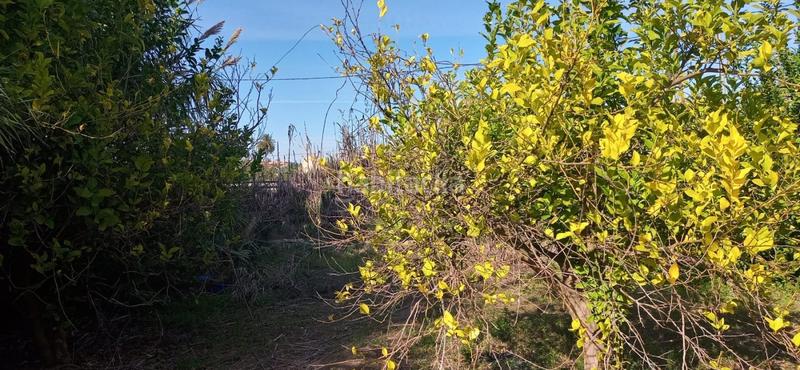 Foto d8d234e3-9243-48ca-aaa2-d8257200223a. Wohngrundstück in Guadalupe Murcia