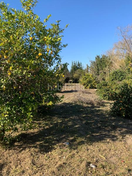 Foto b50c91ac-880a-44fe-9aa9-d7ad45180ecc. Terreny residencial a Era Alta Murcia