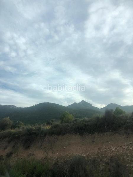 Foto 7cf840f4-bad1-4f39-a220-6fcc010536a0. Terreny residencial a Tibi