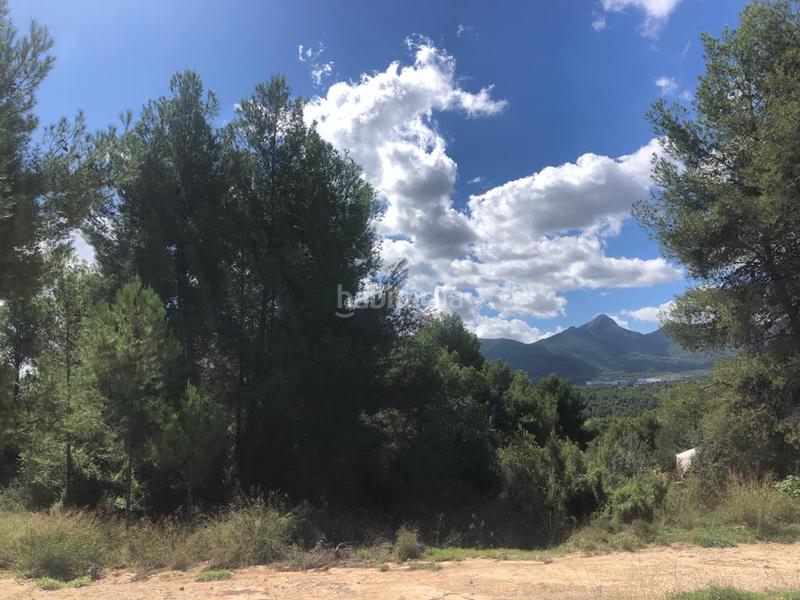 Foto e0d819ef-7af2-44d0-ad83-c986ba64c750. Terreny residencial a Tibi