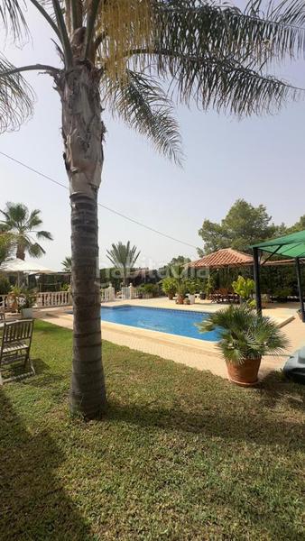 Foto a2f29515-cf93-49f6-b86f-bbff61140466. Terreno residencial terreno urbano en venta calle sepia Moralet en Alicante