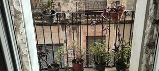 Casa  Calle cantó. Venta de casa en novelda centro