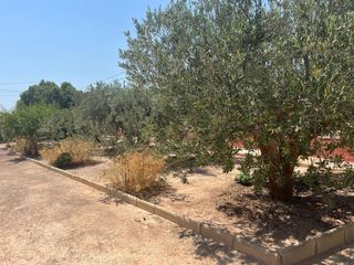 Casa  Avenida setas. Venta de chalet en cañada del fenoñar