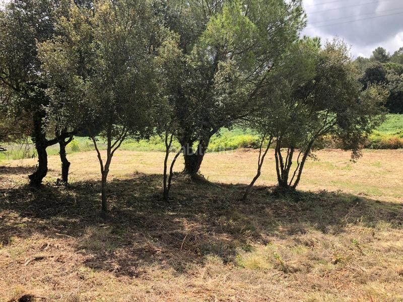 Foto e7d74f9a-0699-4d10-9346-18bb3306c3c8. Terreno residencial parcela sin vecinos en zona tranquila de sant quirze de safaja en Sant Quirze Safaja