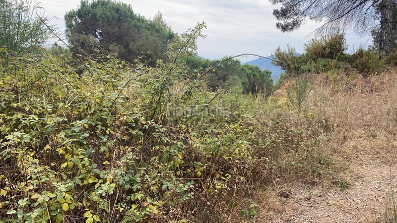 Foto 7f048121-464a-40e2-9bb0-2b089a852d0a. Terreno residencial parcela edificable con proyecto y excavaciones ya realizados en Sant Feliu de Codines