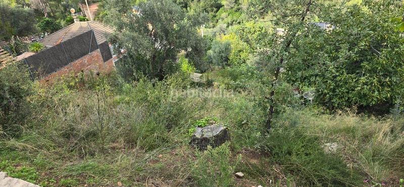 Foto d09c13c1-9760-4022-ba66-88b582c124fe. Terreno residencial oportunidad. solar edificable de 484 m2 para edificar, con pendiente descendiente en Sant Feliu de Codines