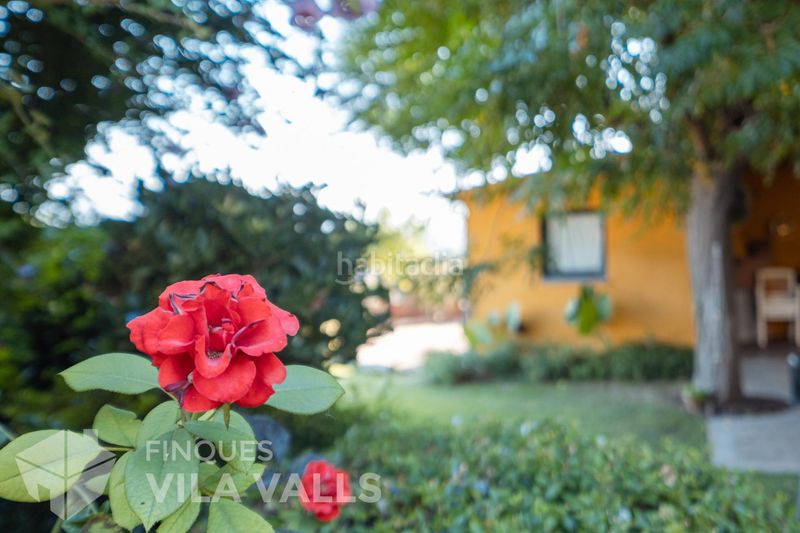 Foto 1a67c8be-b5d2-4e73-a10c-96f6f0e9218d. Chalet  4 vientos con piscina y jardín excepcional en santa eulàlia de ronçana en Lliçà d´Amunt