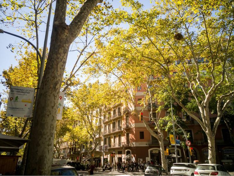Foto db83a726-eb96-4024-85a0-04f0982f73dd. Location parking voiture dans La Nova Esquerra de l´Eixample Barcelona